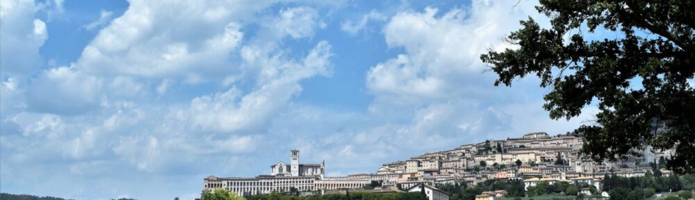 Assisi vista dai campi di grano, la città di Francesco d'Assisi e Federico II bambino, con la basilica sul crinale
