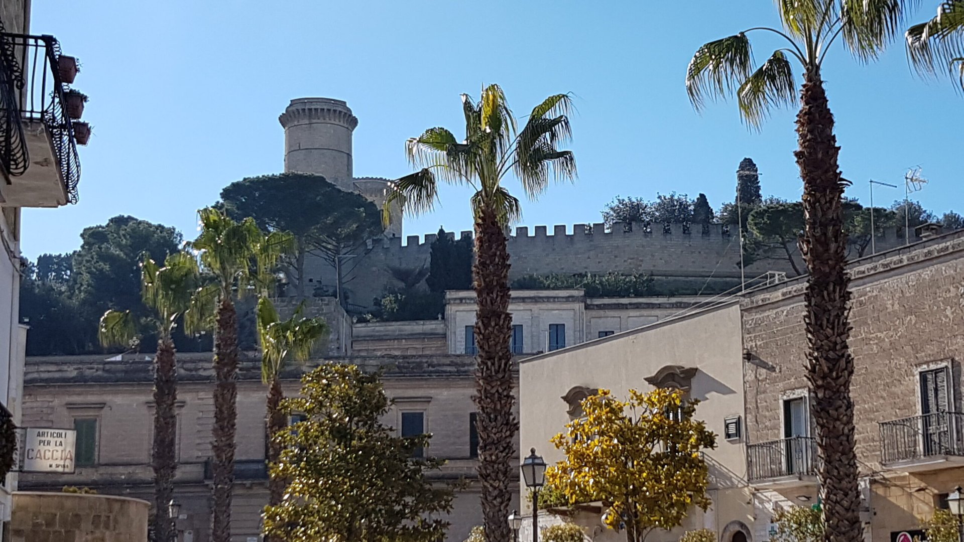 Il castello di Oria visto dalle palme di piazza Lama, i luoghi dei libri per conoscere Oria
